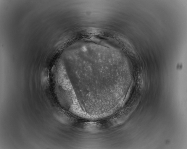 X0000099510320200806121445
