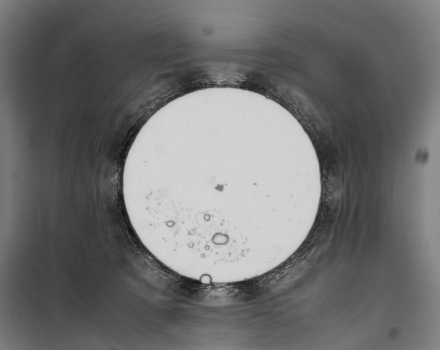 X0000099510321200806121445