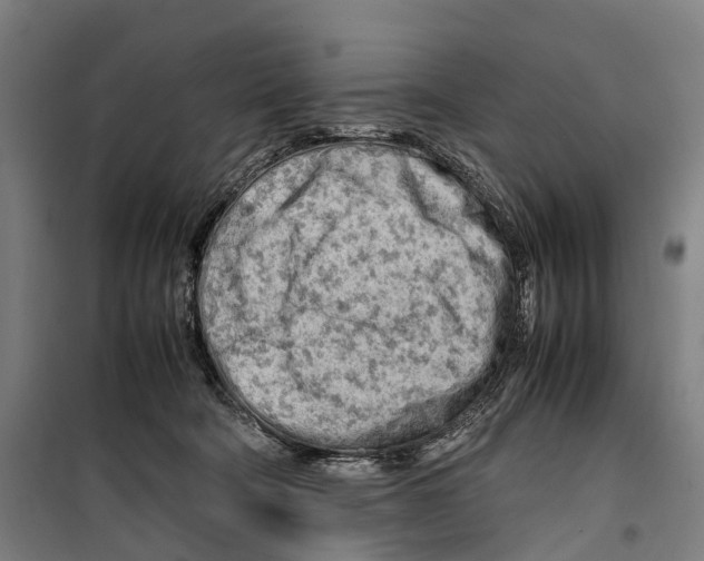 X0000099510322200806121445