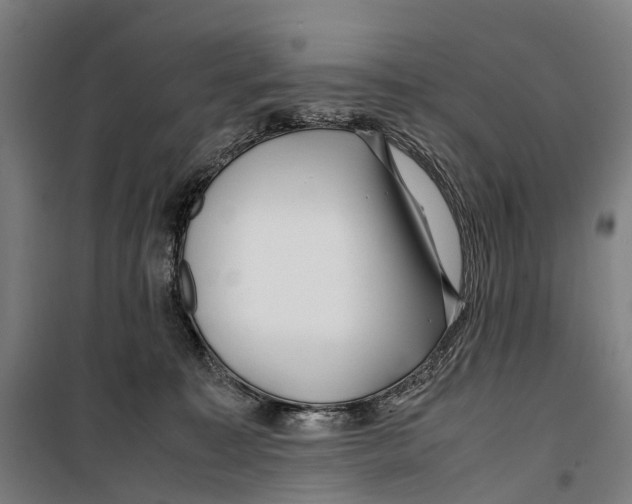 X0000099510323200806121445