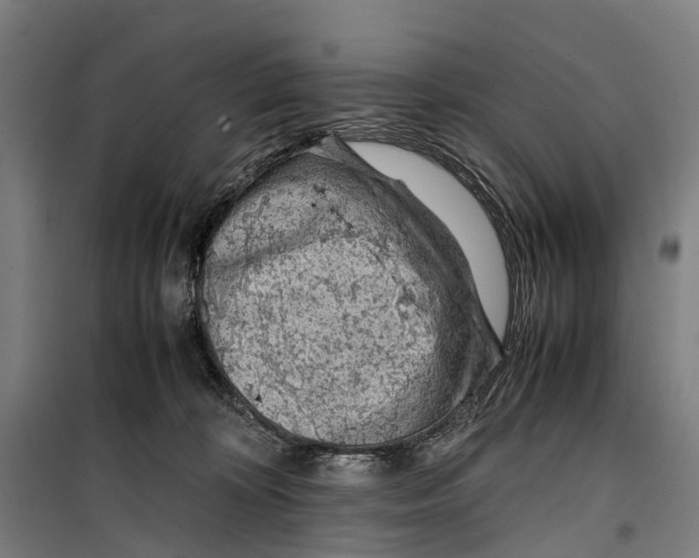 X0000099510324200806121445