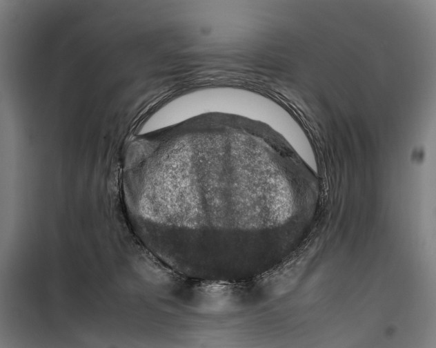 X0000099510325200806121445