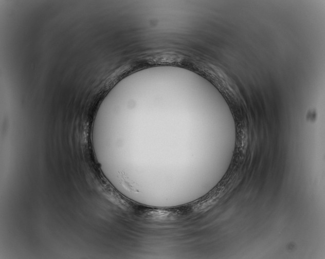 X0000099510326200806121444