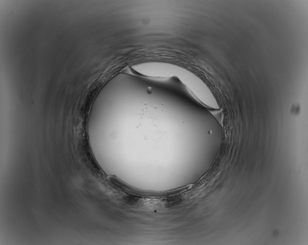 X0000099510327200806121444