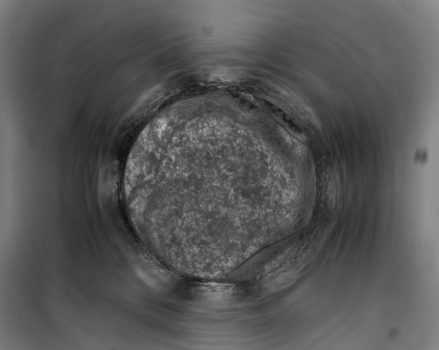 X0000099510328200806121444