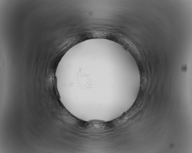 X0000099510329200806121444
