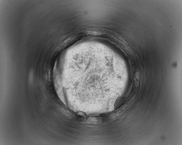 X0000099510330200806121444
