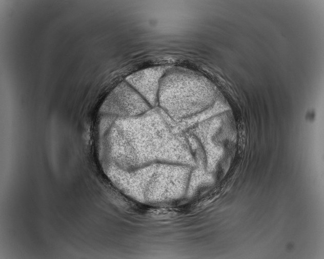X0000099510331200806121444