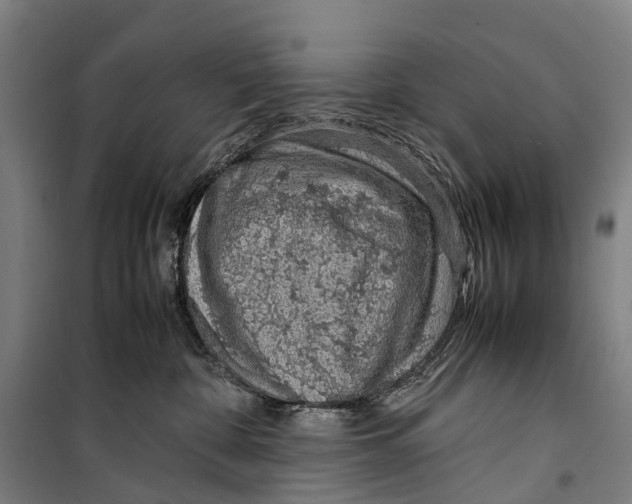 X0000099510332200806121444