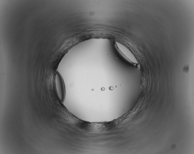 X0000099510333200806121444