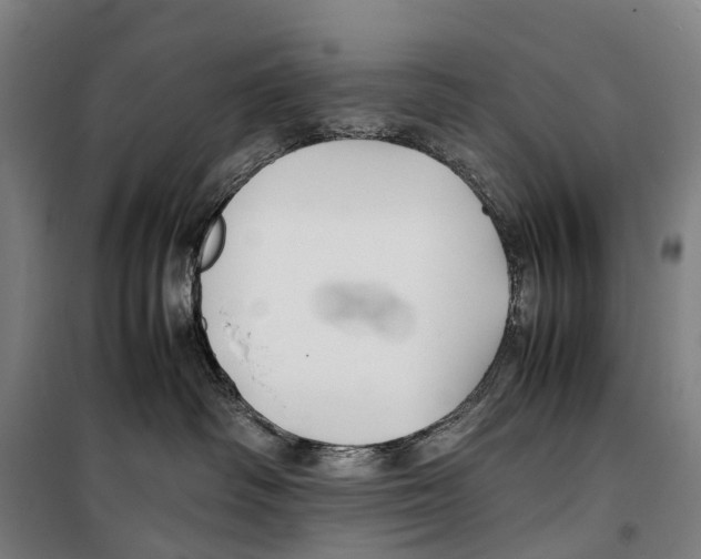 X0000099510334200806121444