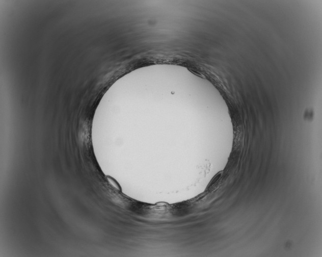 X0000099510335200806121444