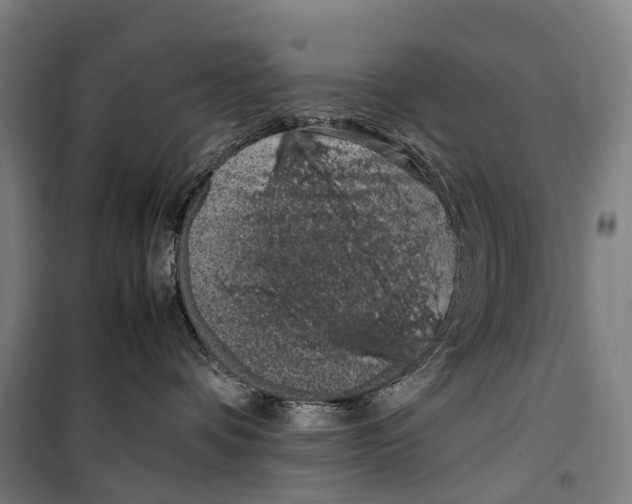 X0000099510336200806121444
