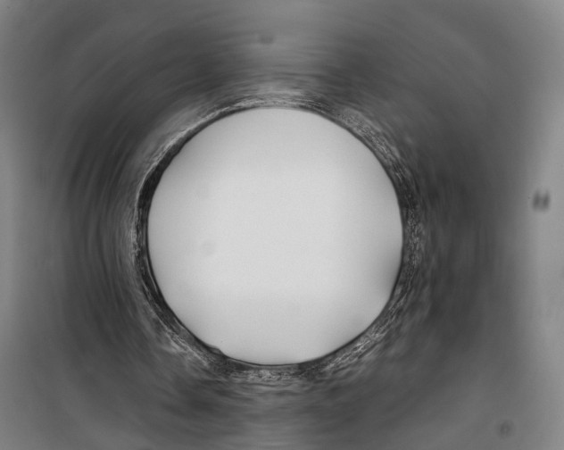 X0000099510338200806121444