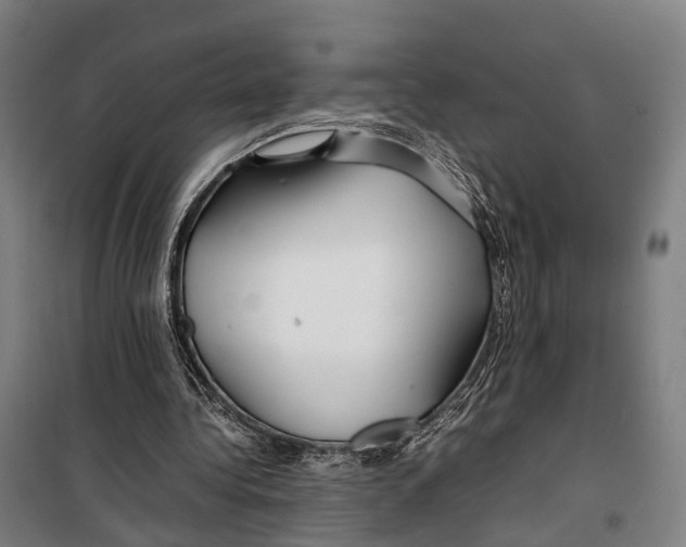 X0000099510340200806121444