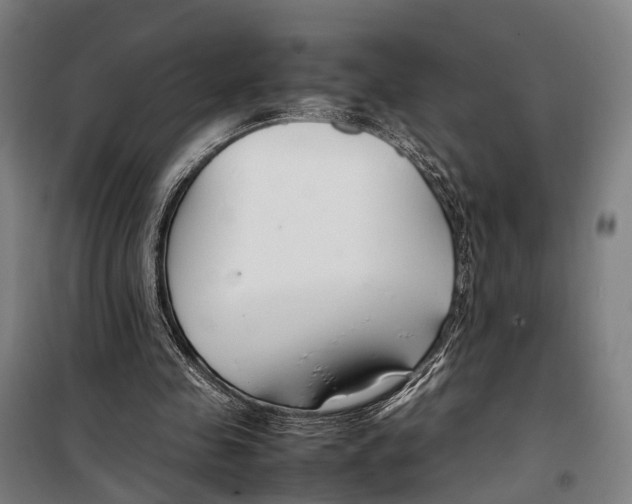 X0000099510341200806121444