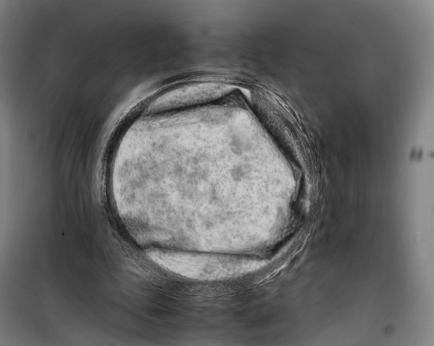 X0000099510343200806121444