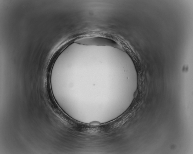 X0000099510344200806121444