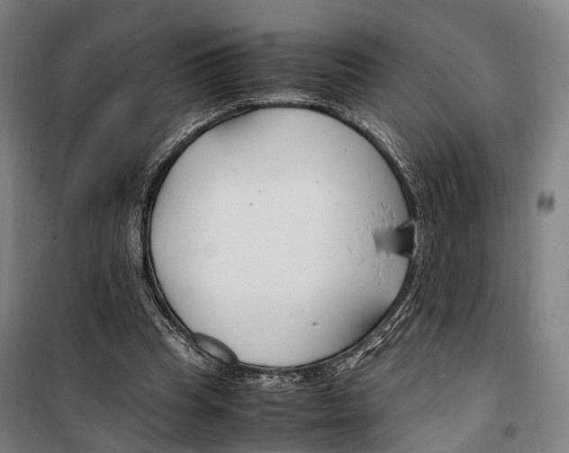 X0000099510345200806121444