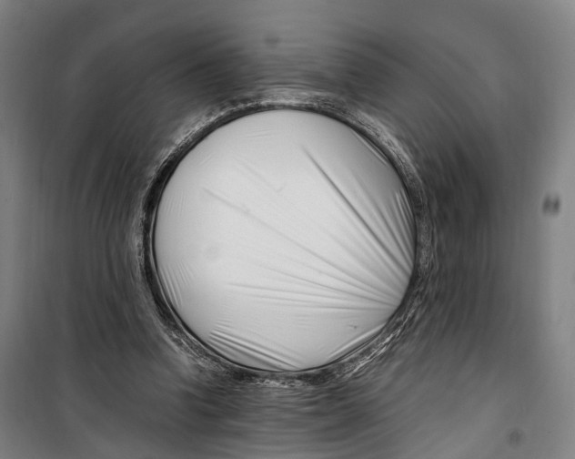 X0000099510346200806121444