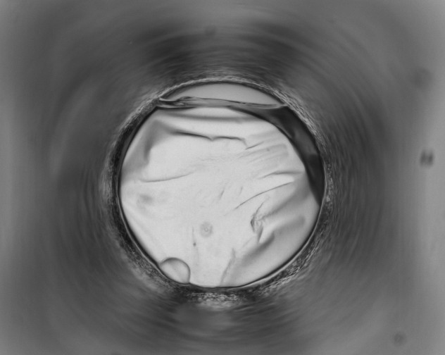 X0000099510347200806121444