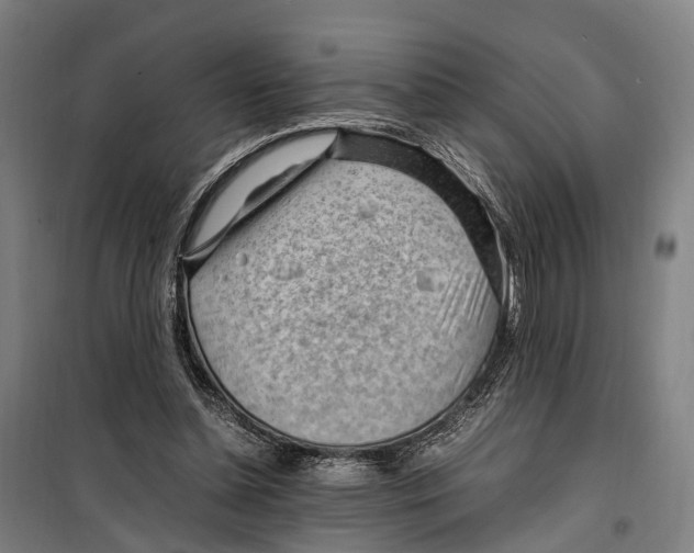 X0000099510348200806121444