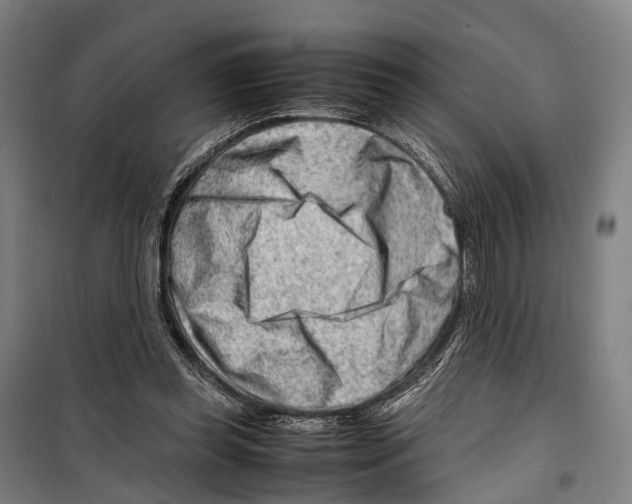 X0000099510349200806121444