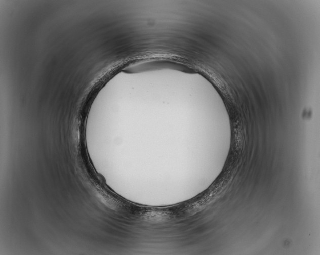 X0000099510350200806121444
