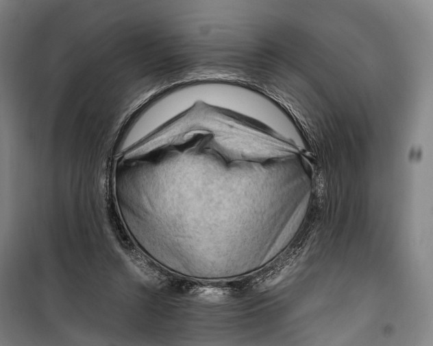 X0000099510352200806121444