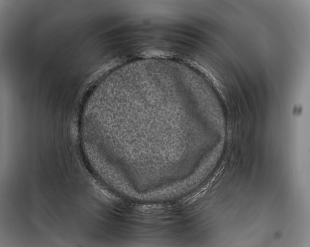 X0000099510353200806121444