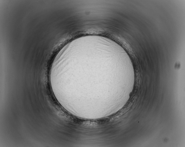 X0000099510354200806121444