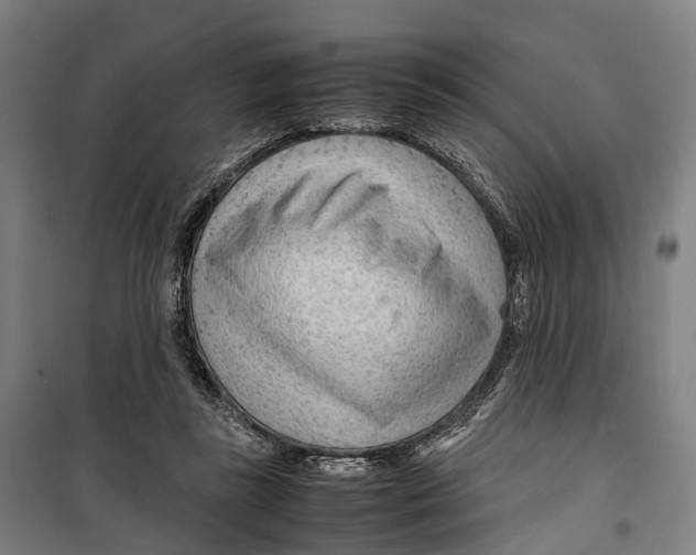 X0000099510355200806121444