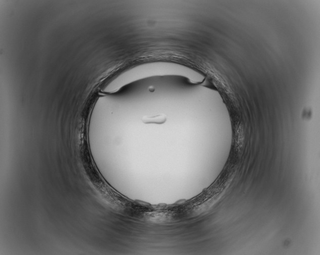 X0000099510356200806121444