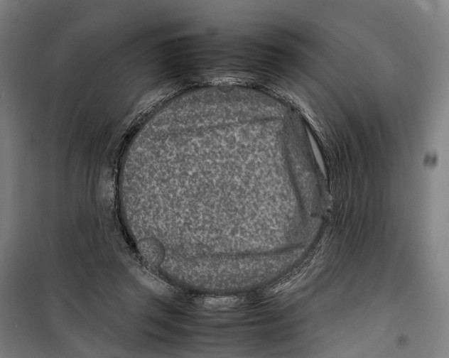 X0000099510357200806121444