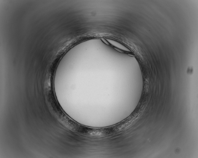 X0000099510358200806121444