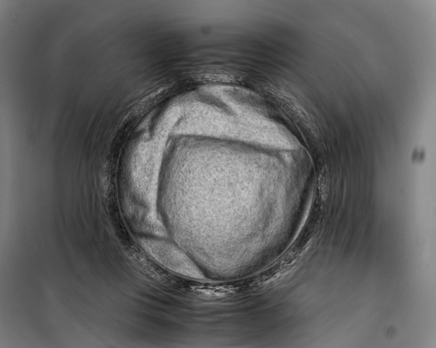 X0000099510359200806121444