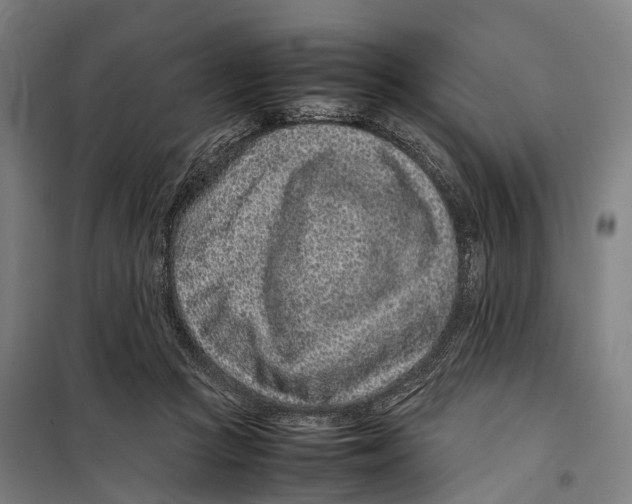 X0000099510361200806121444