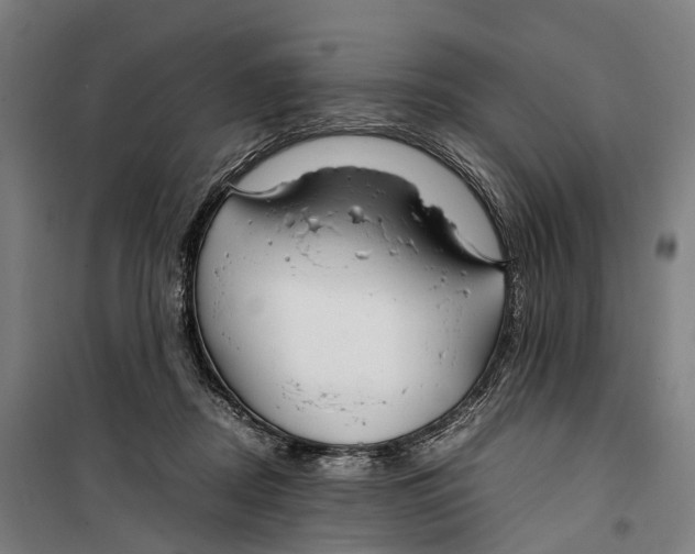 X0000099510362200806121444