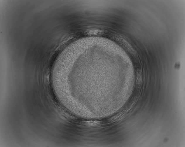 X0000099510363200806121444