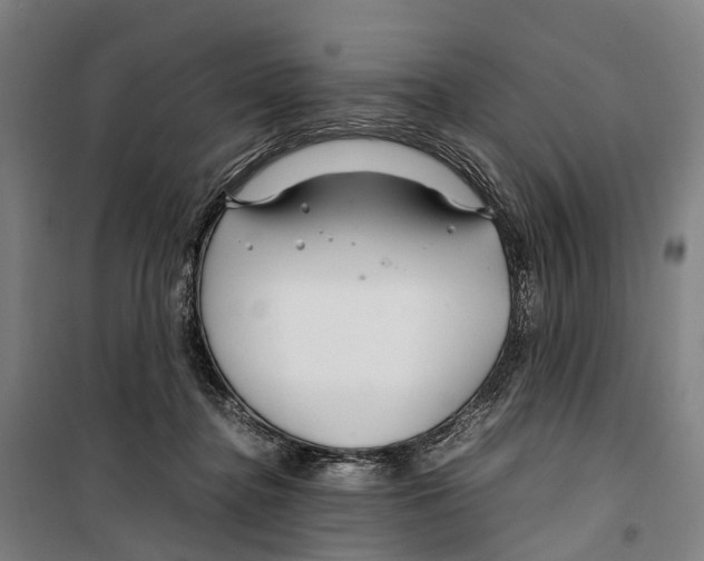 X0000099510364200806121444