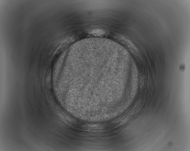X0000099510365200806121444