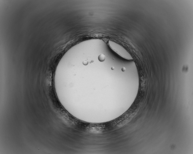 X0000099510368200806121444