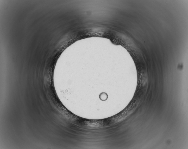X0000099510370200806121444