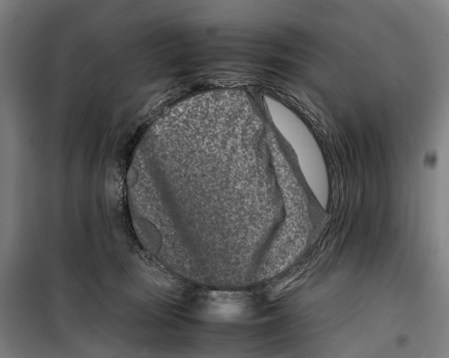 X0000099510371200806121444