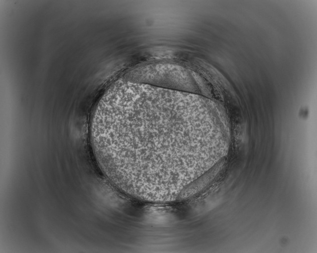 X0000099510372200806121444