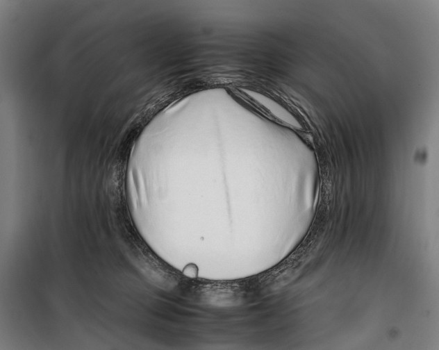 X0000099510373200806121444