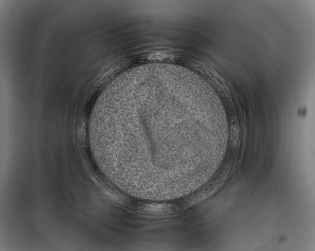 X0000099510375200806121444