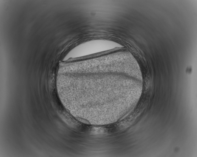 X0000099510376200806121444