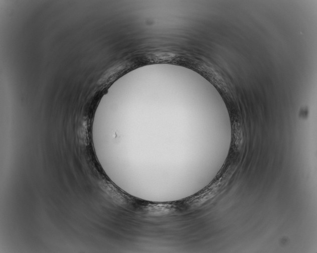 X0000099510378200806121444