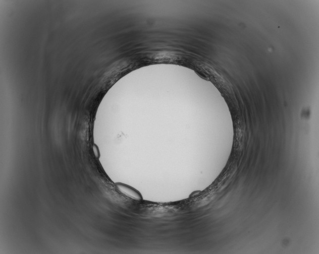 X0000099510379200806121444